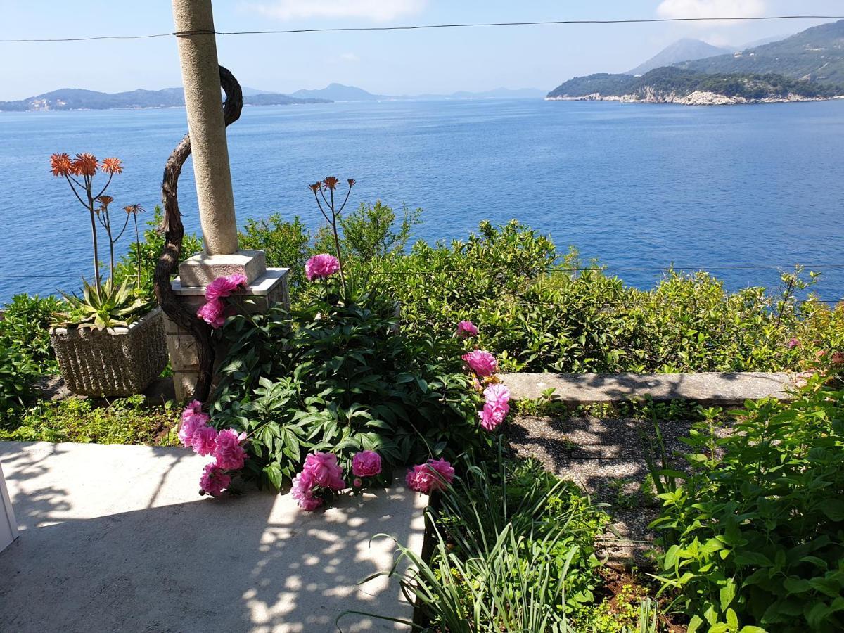 Apartments Bajo - Free Parking Dubrovnik Eksteriør billede