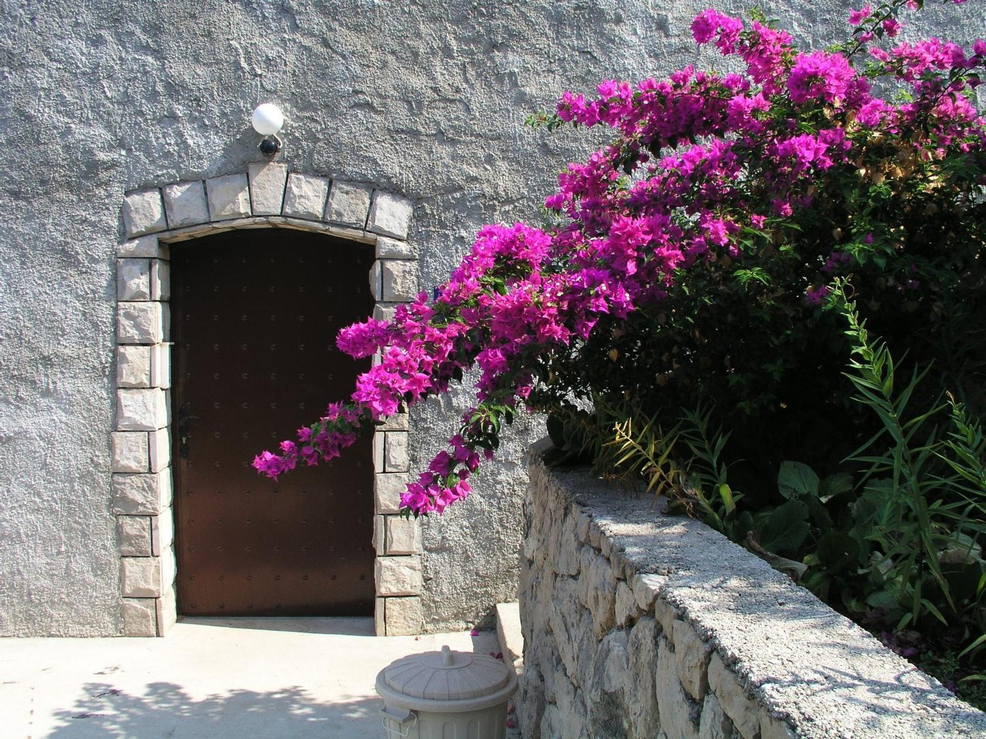 Apartments Bajo - Free Parking Dubrovnik Eksteriør billede