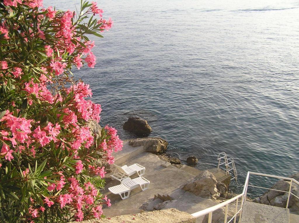 Apartments Bajo - Free Parking Dubrovnik Eksteriør billede